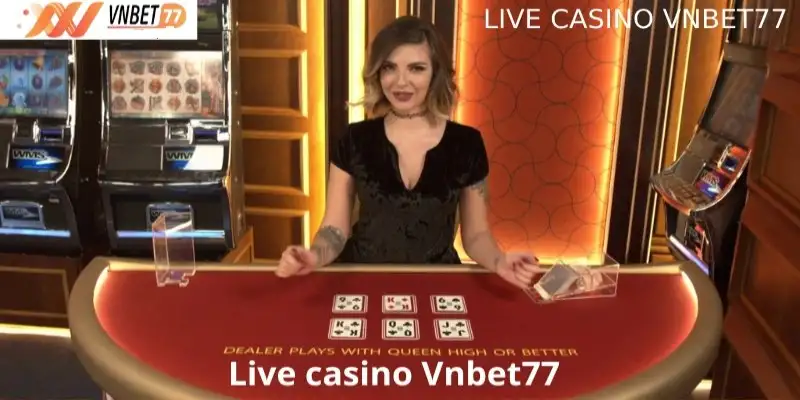 Casino Vnbet77 – Sân chơi cá cược đỉnh cao cho dân sành
