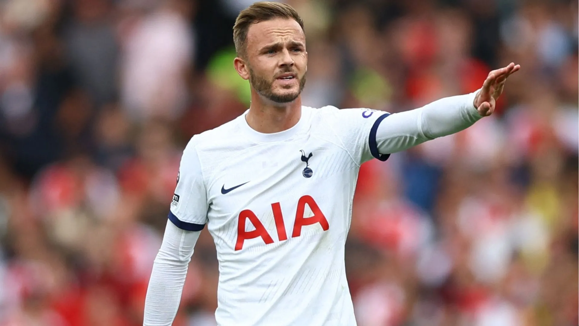 James Maddison trong màu áo mới Tottenham Hotspur