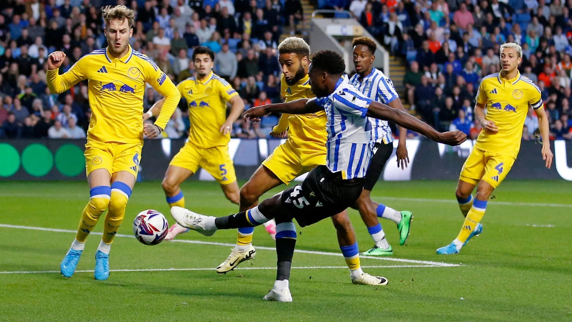Tiền đạo Anthony Musaba trong màu áo Sheffield Wednesday trước khi chuyển đến Samsunspor