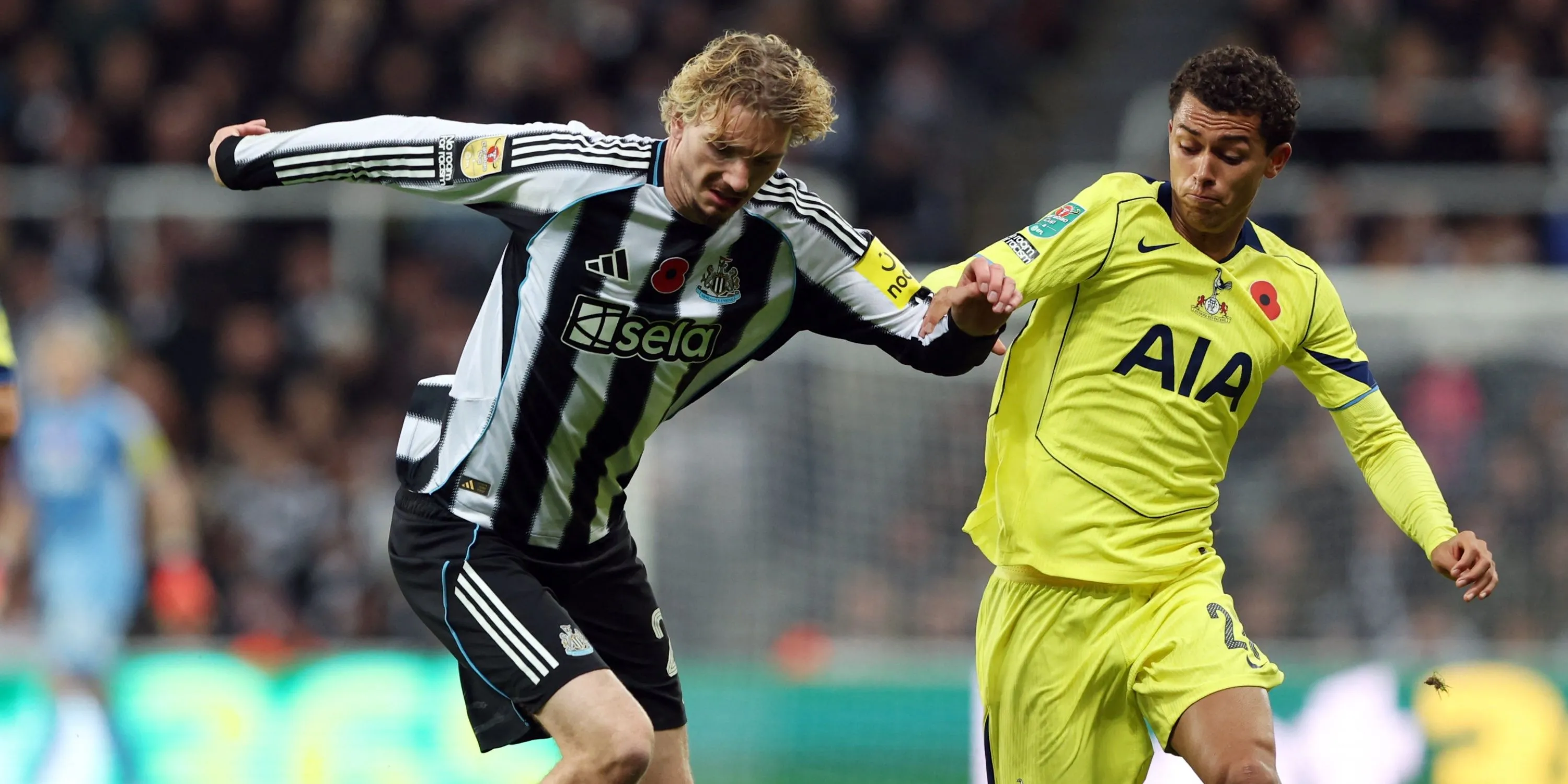 Bản tổng hợp hình ảnh về màn trình diễn đáng thất vọng của Brennan Johnson trước Newcastle