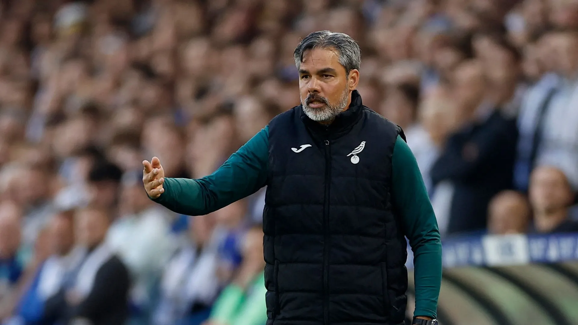 David Wagner trên đường biên trong buổi tập trước trận